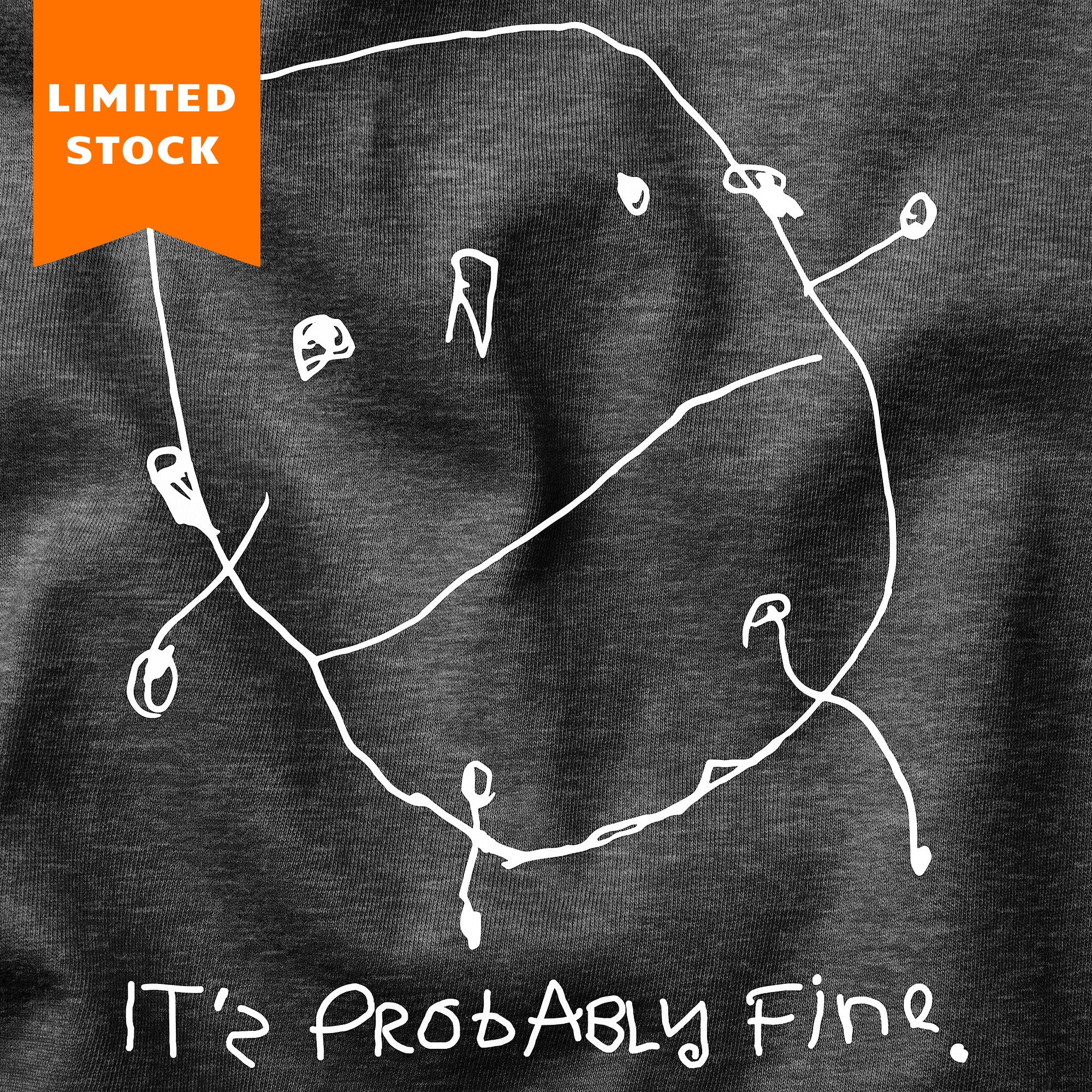 IT'S PROBABLY FINE HOODIE