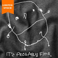 IT'S PROBABLY FINE HOODIE
